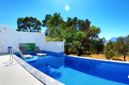 Villa Mulberry Thyme